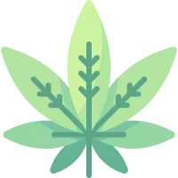 CBD/Dispensaries